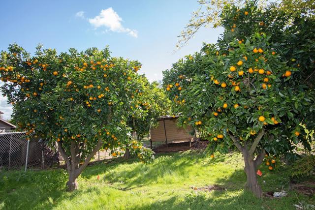 Detail Gallery Image 35 of 36 For 405 Solana Real, Fallbrook,  CA 92028 - 3 Beds | 3 Baths