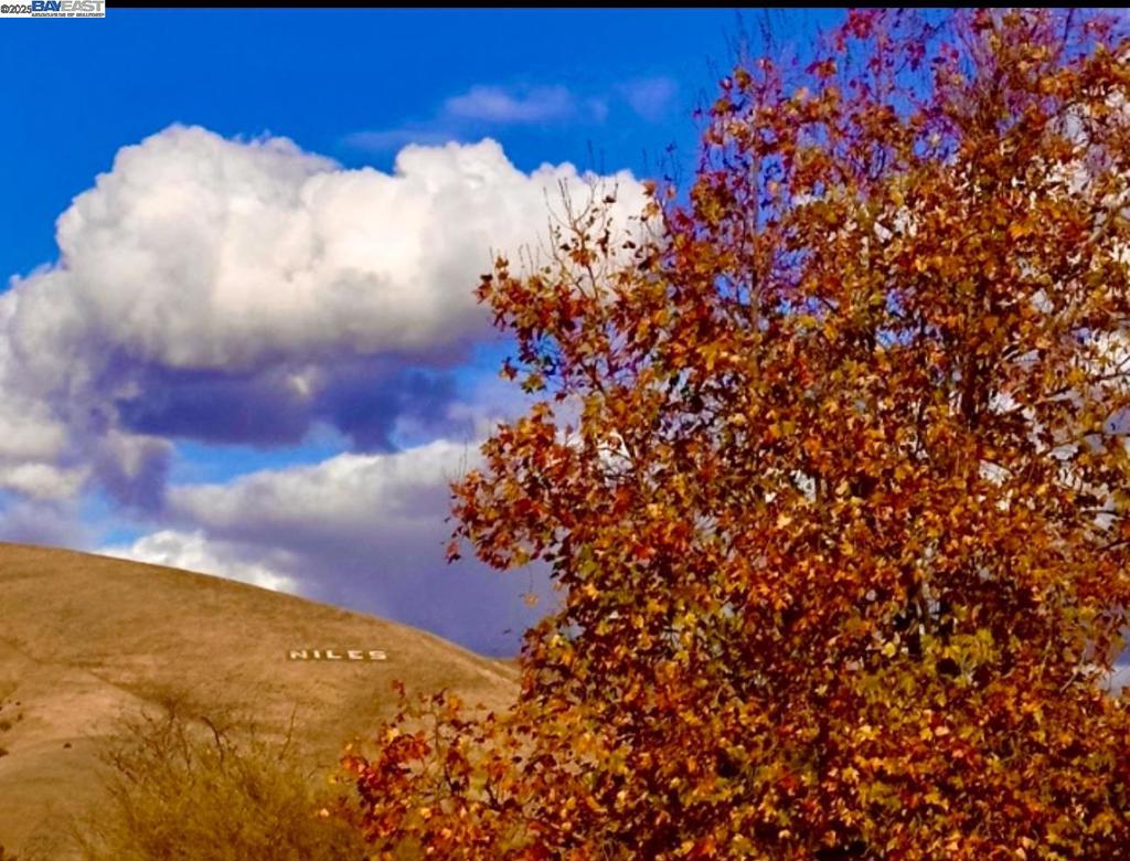 https://media.crmls.org/mediaz/74158839-a807-416c-a1c6-8bb1f1641d2f.jpg?preset=X-Large