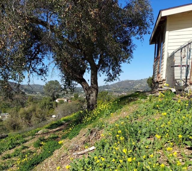 1320 RICHLAND RD, San Marcos CA: https://media.crmls.org/mediaz/74198f61-8e64-46ea-a86e-50fa58ef7843.jpg