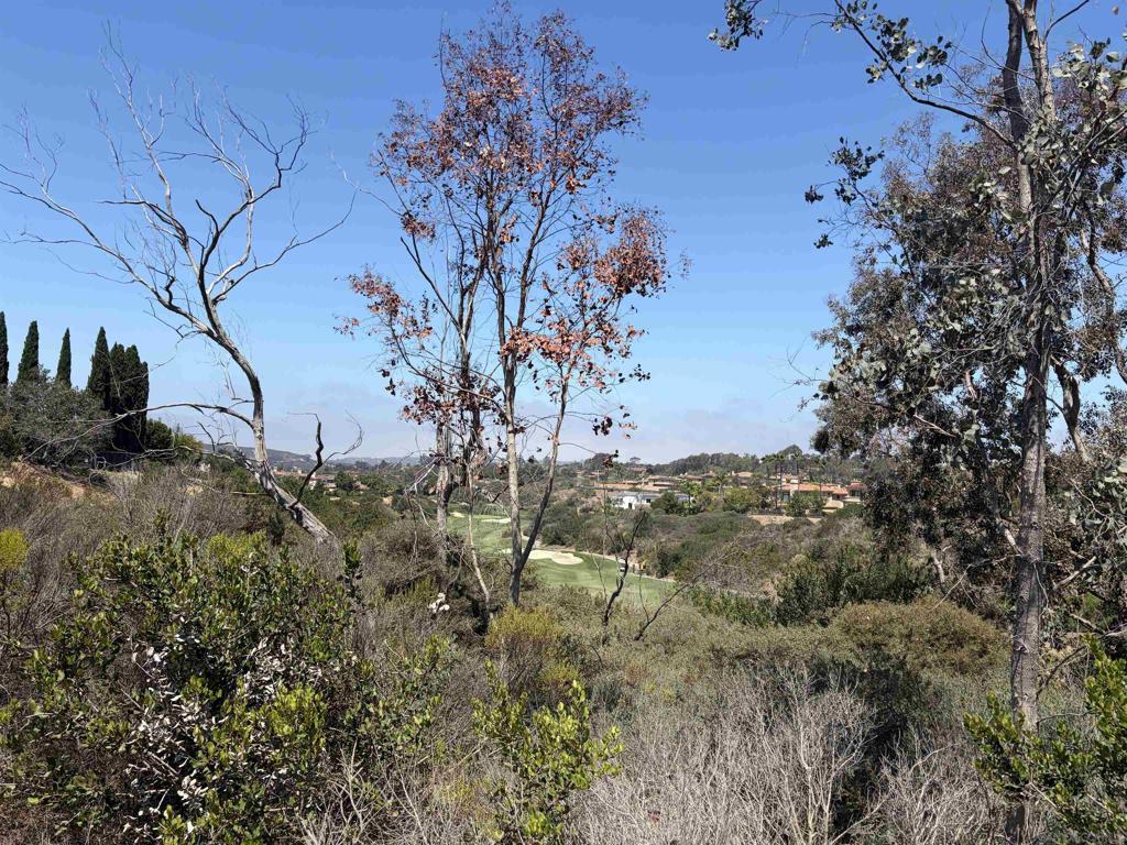 5591 Meadows - photo 3