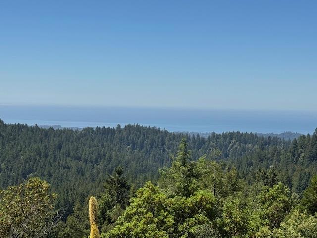 132 Pax Place Court, Aptos CA: https://media.crmls.org/mediaz/743b3250-6d47-43f3-b63c-3d1bba594116.jpg