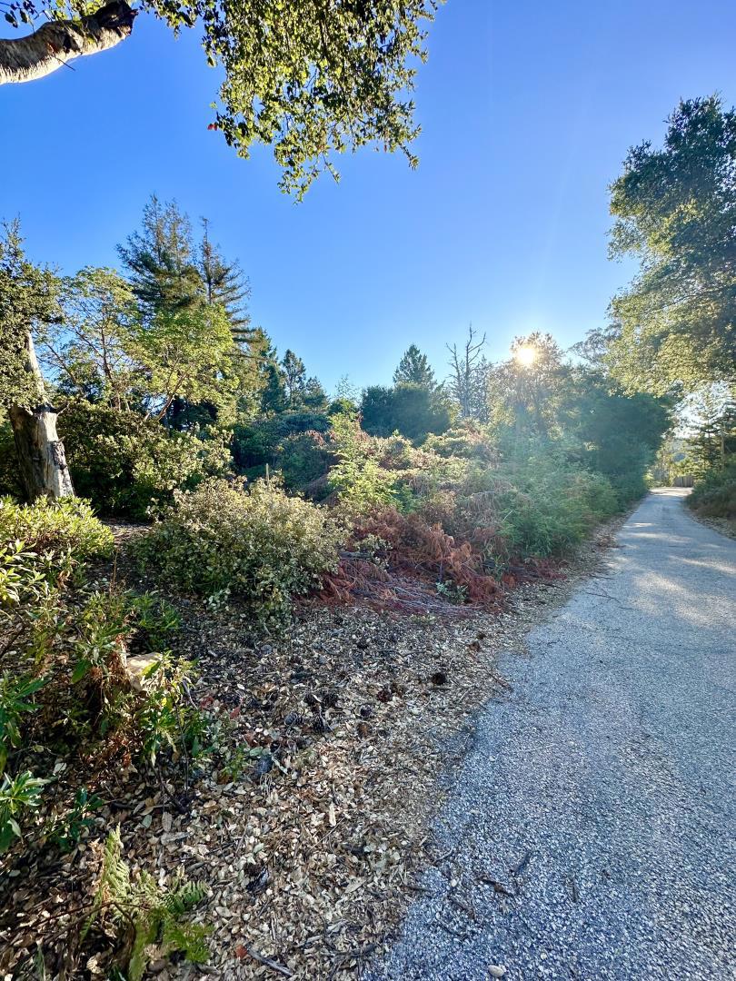 MLS #ML81977847 image #9