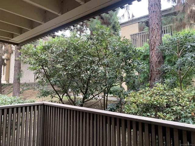 3148 Via Alicante, La Jolla CA: https://media.crmls.org/mediaz/7449b946-c923-4c0a-9e17-e93e79bca2ff.jpg
