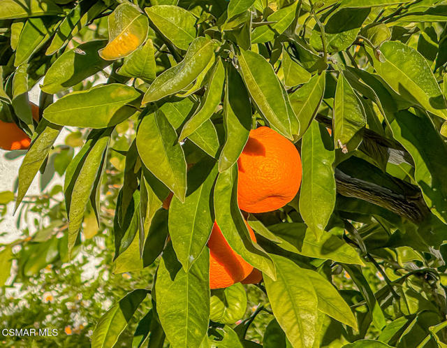 4255 Saddlecrest Lane, Westlake Village CA: https://media.crmls.org/mediaz/744b4ae9-1fdd-44c0-b701-e5c8437271eb.jpg