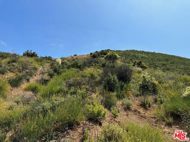 0 Kanan Road, Agoura CA: https://media.crmls.org/mediaz/744f5430-186d-4f5b-a33d-a9d7d36fc587.jpg