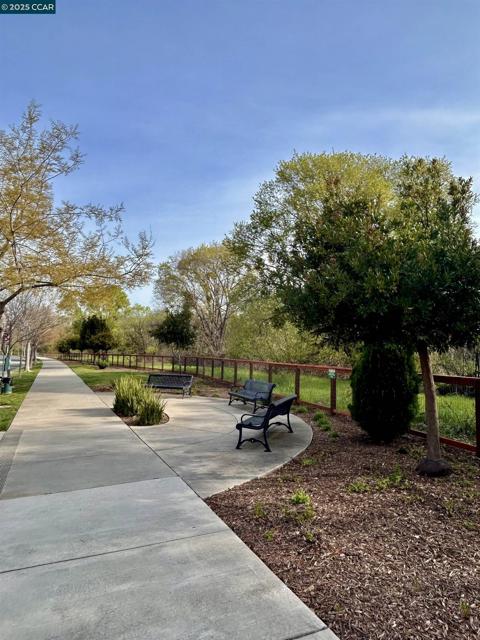 2036 Serra Ln, Hercules CA: https://media.crmls.org/mediaz/744fbbfb-8325-4d70-933d-915ad7967e59.jpg
