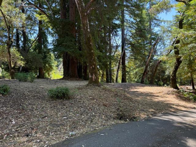 0 Debbie, Los Gatos CA: https://media.crmls.org/mediaz/74521ad8-73a6-47b3-a04a-f9b436058632.jpg