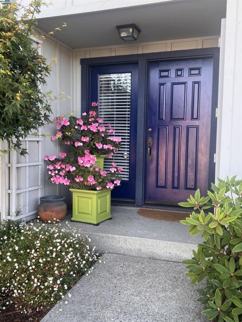 37 Binnacle Hl, Oakland CA: https://media.crmls.org/mediaz/74541591-1b2f-40d4-aa8e-005f6fb6b32b.jpg
