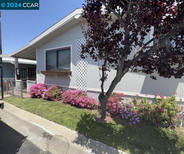 3705 Hawthorne Dr, Bethel Island, California 94511, 3 Bedrooms Bedrooms, ,2 BathroomsBathrooms,Residential,For Sale,Hawthorne Dr,41060424