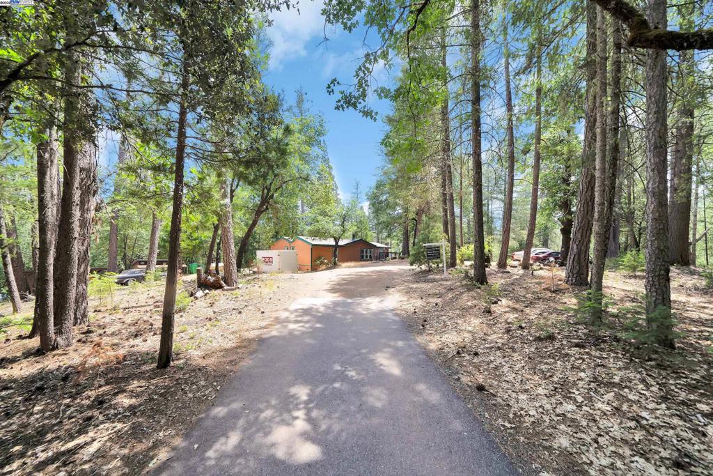 13567 Raccoon Mountain Rd