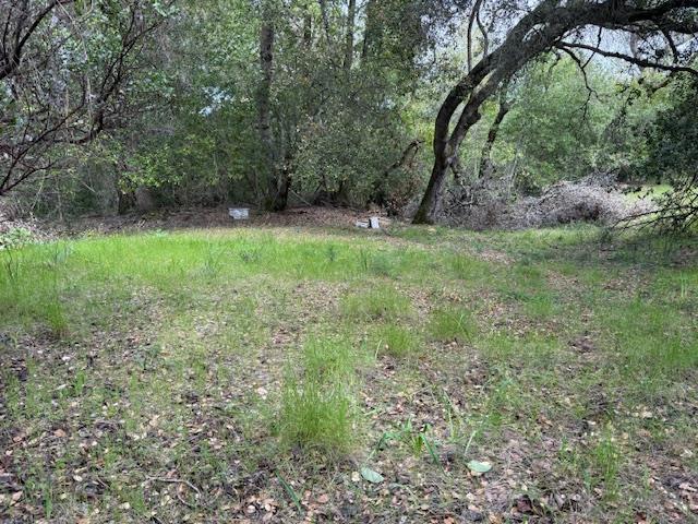 11 Little Uvas Road, Morgan Hill CA: https://media.crmls.org/mediaz/74589981-e6aa-4158-83b0-a5ea59d6e95a.jpg