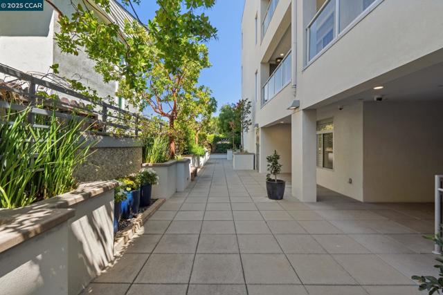 1756 Cole Ave, Walnut Creek CA: https://media.crmls.org/mediaz/745a8419-f19d-4f3e-8b30-e08b2890b2f7.jpg