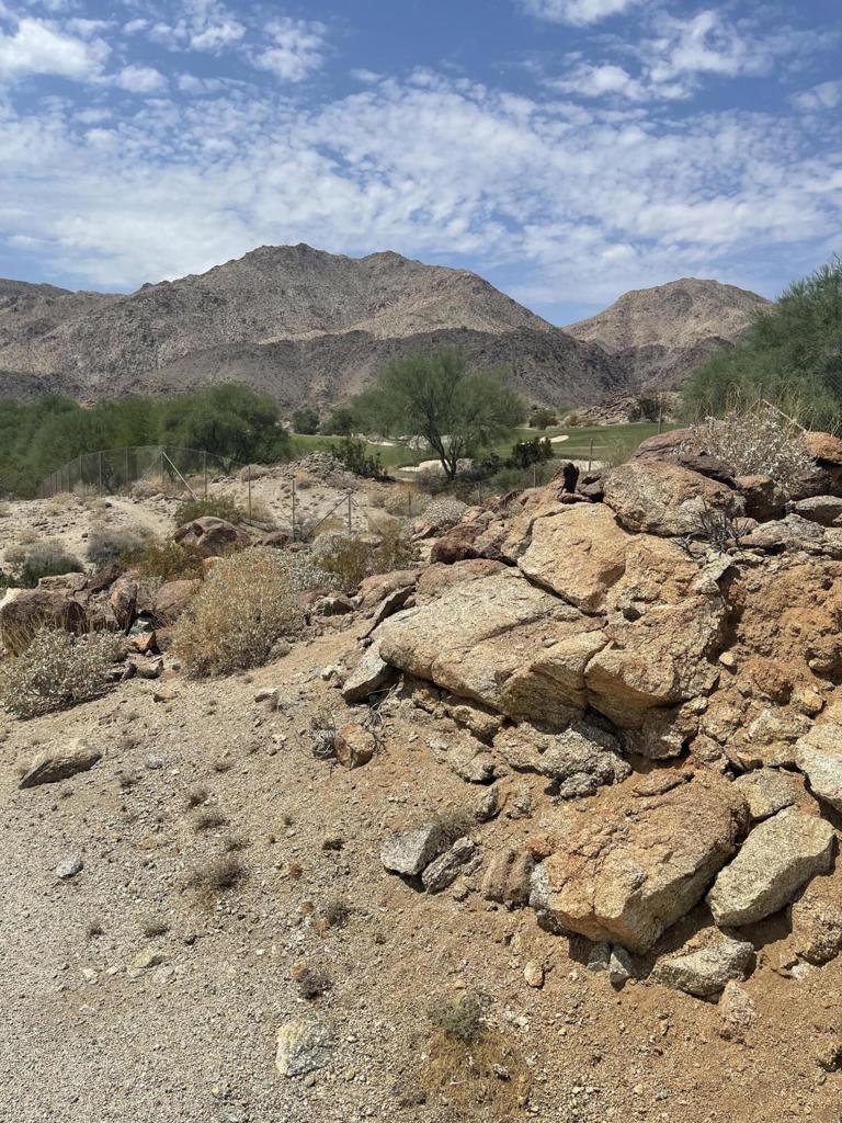 MLS #219138926DA image #2