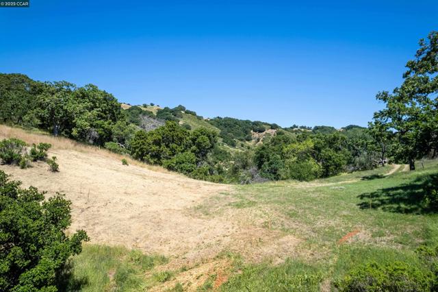 0 Monticello Rd., Lafayette CA: https://media.crmls.org/mediaz/745e7c25-2571-433f-8968-e3eadeda39e3.jpg