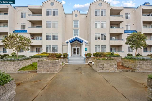 535 Pierce St, Albany CA: https://media.crmls.org/mediaz/7469e4fd-c898-4212-8279-76a3a9a6ce8a.jpg