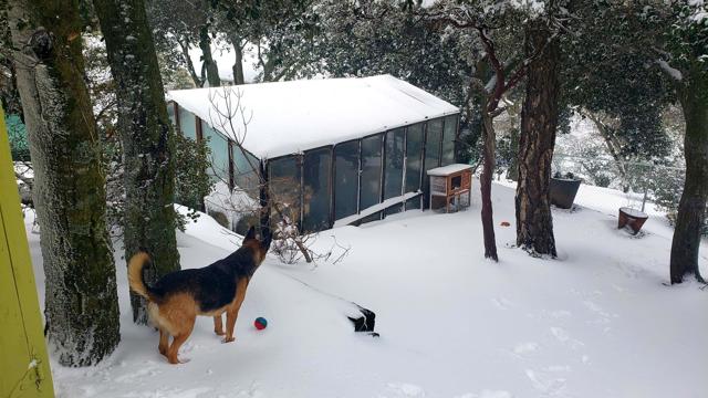 Detail Gallery Image 28 of 35 For 2855 Heliotrope Dr, Julian,  CA 92036 - 2 Beds | 2 Baths