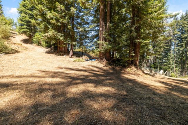 2472 Fanning Grade, Ben Lomond CA: https://media.crmls.org/mediaz/747f9a3e-3390-45a7-a6e0-e62d54e63414.jpg