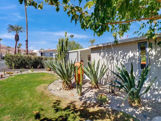 7 Ocotillo Lane, Palm Desert CA: https://media.crmls.org/mediaz/748951e2-b0cb-45cf-856a-1569a490832e.jpg