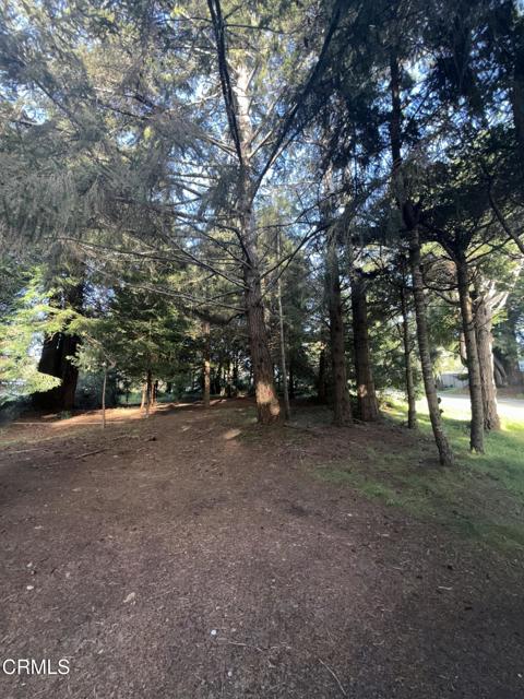 31750 Pudding Creek Road, Fort Bragg CA: https://media.crmls.org/mediaz/748a2ed1-fbf6-4b75-9428-8a3cf9e2c0f9.jpg