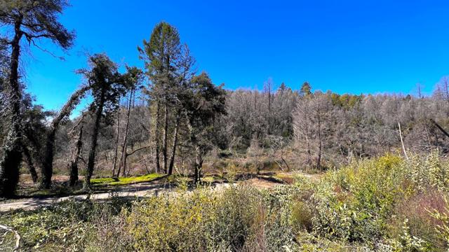 11035 Empire Grade, Santa Cruz CA: https://media.crmls.org/mediaz/748acb6f-c8f2-4160-8c05-89e11a510eb0.jpg