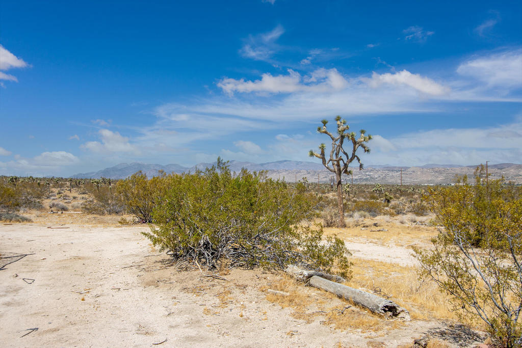 MLS #219137126PS image #21