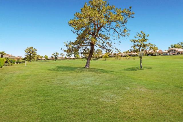 23 Pine Valley Drive, Rancho Mirage CA: https://media.crmls.org/mediaz/748ea917-3b23-43e5-a7f2-7f8f7cec1cad.jpg