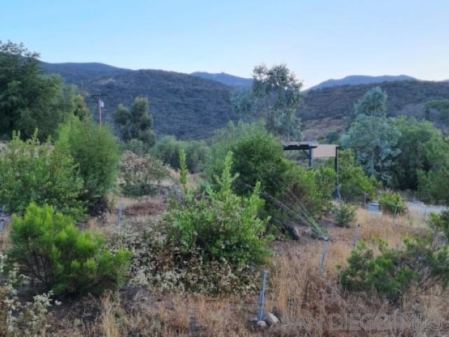 8209 Mesa Rd, Santee, California 92071, ,Multi-Family,For Sale,Mesa Rd,240025005SD