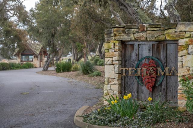 25825 Via Malpaso (Lot 68), Carmel CA: https://media.crmls.org/mediaz/74a11f69-8c94-4732-b6ed-a80f4535fd02.jpg
