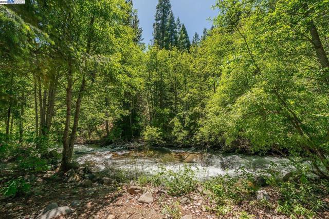 121 Mountain Aire Ln, Trinity Center CA: https://media.crmls.org/mediaz/74a2c331-75e2-44d4-afc8-727cd1b0bfa0.jpg