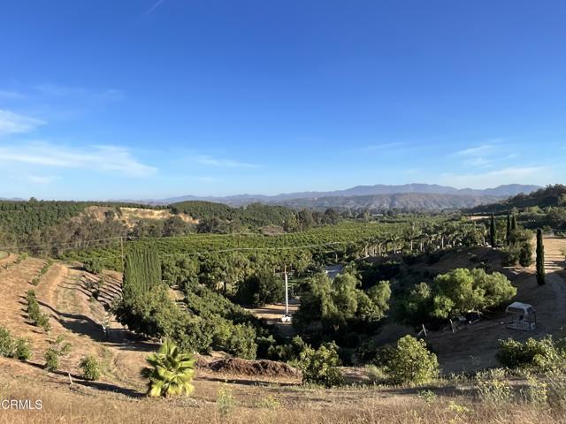Detail Gallery Image 17 of 27 For 7907 Balcom Canyon Rd, Somis,  CA 93066 - – Beds | – Baths