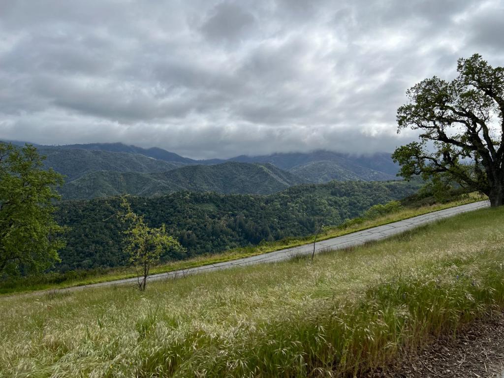 MLS #ML82007500 image #3