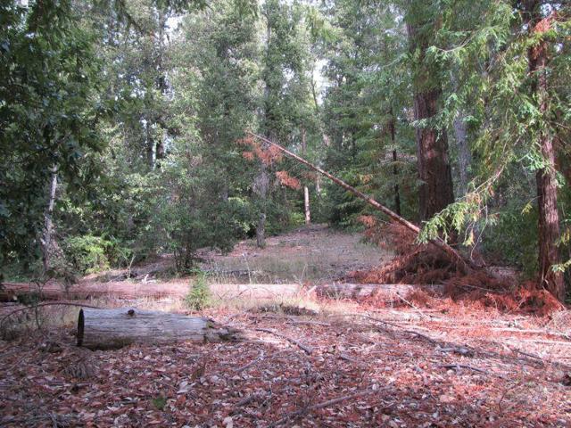 0 E Hilton, Boulder Creek CA: https://media.crmls.org/mediaz/74ae8425-bd71-4432-8f08-1989073a8177.jpg