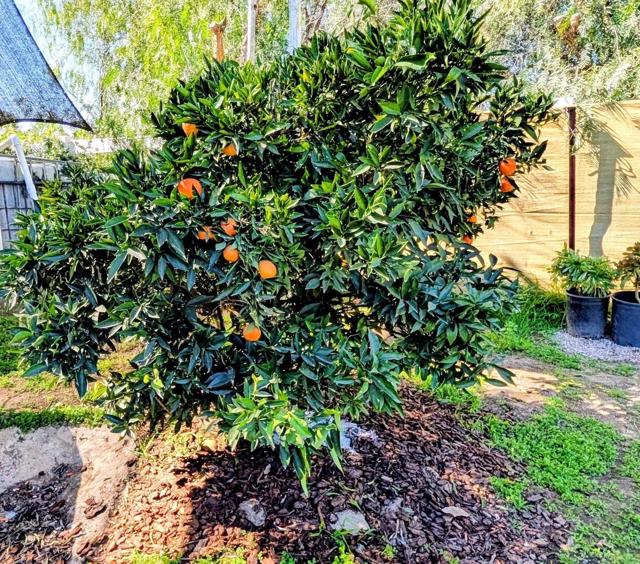 Detail Gallery Image 55 of 64 For 6951 W Lilac Rd, Bonsall,  CA 92003 - 3 Beds | 2 Baths