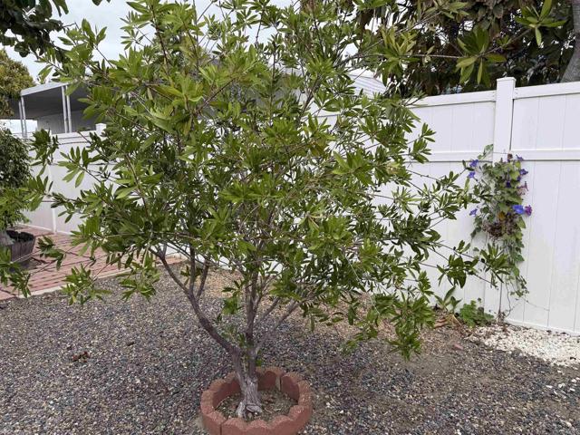 Detail Gallery Image 48 of 53 For 200 N El Camino Real #150,  Oceanside,  CA 92058 - 3 Beds | 2 Baths