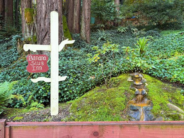 8787 Highway 9, Ben Lomond CA: https://media.crmls.org/mediaz/74bd1950-97b3-412c-952f-dd09fa017a5d.jpg