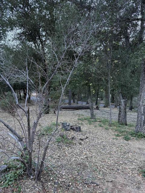 Detail Gallery Image 13 of 13 For 9150 Pine Creek #37,  Pine Valley,  CA 91962 - 1 Beds | 1/1 Baths