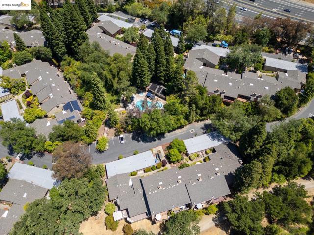128 Alamo Sq, Alamo CA: https://media.crmls.org/mediaz/74e7e3a1-d828-42d3-8bf7-ebf648125278.jpg