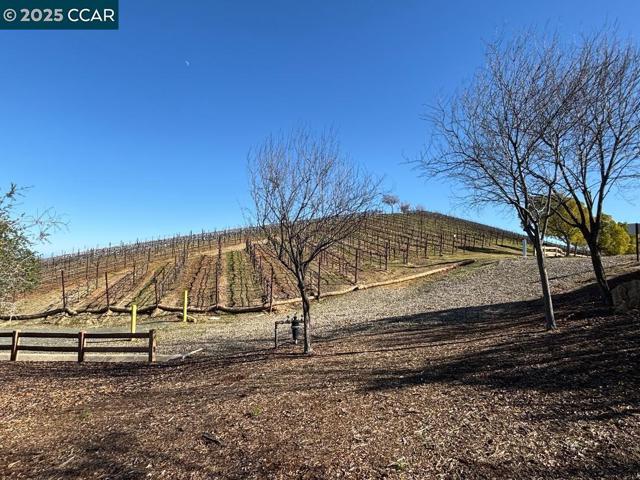 1759 Latour Ave, Brentwood CA: https://media.crmls.org/mediaz/74fd495d-9b6e-4ead-a075-012b2c171485.jpg