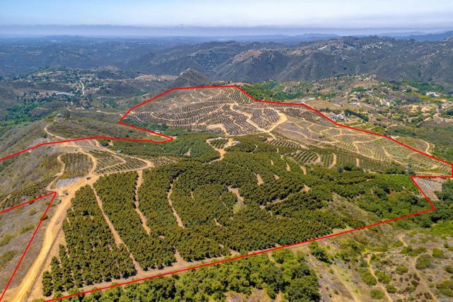 Detail Gallery Image 11 of 40 For 45000 Rancho Fallbrook Rd, Temecula,  CA 92590 - – Beds | – Baths