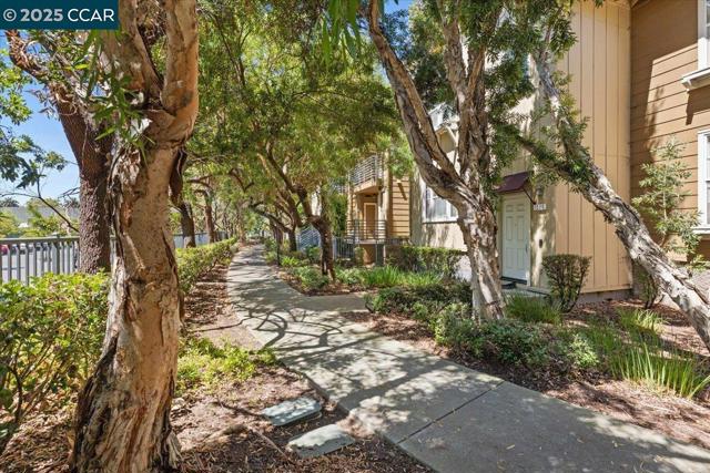 1582 Chandler St, Oakland CA: https://media.crmls.org/mediaz/751b9a36-f557-4836-a608-5dda6bfb85d4.jpg