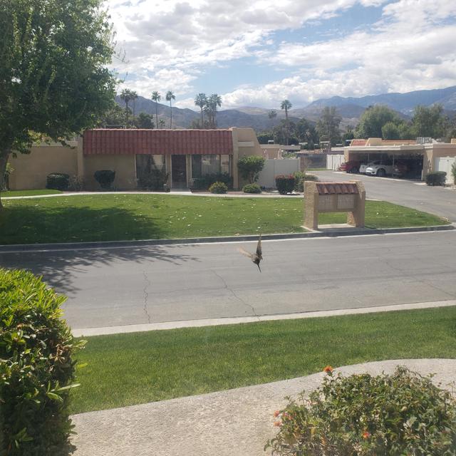 35526 Feliz Court, Rancho Mirage CA: https://media.crmls.org/mediaz/7521c11d-0e3a-4475-963a-40dd775026de.jpg