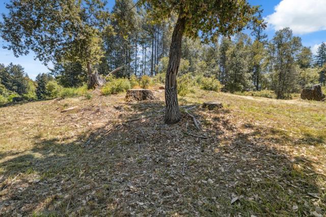 601 Westdale Drive, Santa Cruz CA: https://media.crmls.org/mediaz/7528a656-f79b-4b2a-9a35-05d38fbd27a7.jpg