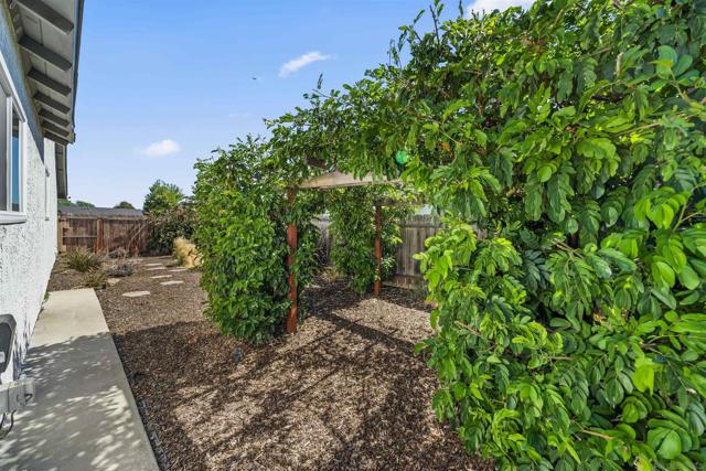 9480 Avenida Acero, Spring Valley CA: https://media.crmls.org/mediaz/752a06e6-3f34-4950-bc5f-b4600cf79df9.jpg