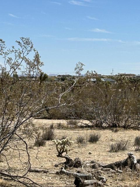 0 Sun Oro Road Road, Yucca Valley CA: https://media.crmls.org/mediaz/7530f72b-6a05-4357-b7c9-14f4457b307f.jpg