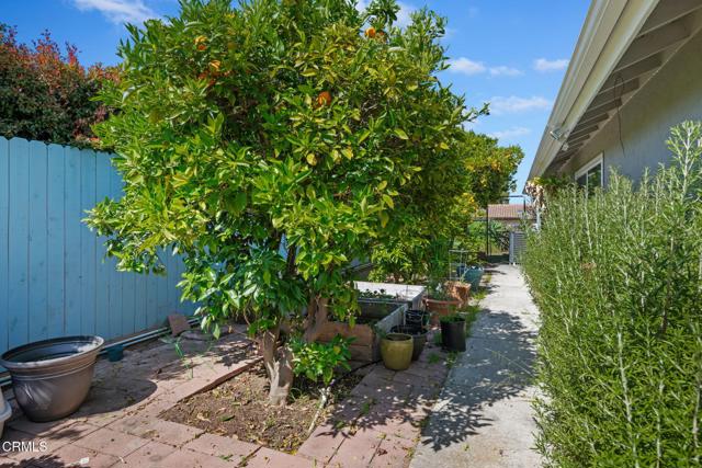 Detail Gallery Image 44 of 59 For 246 Crestwood Ave, Ventura,  CA 93003 - 4 Beds | 2/1 Baths