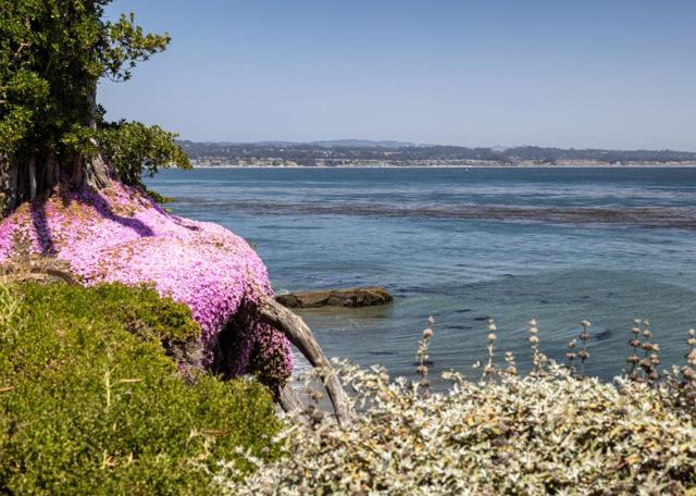 355 30th Avenue, Santa Cruz CA: https://media.crmls.org/mediaz/7540c088-0a2b-4861-91d1-43bc744b6d20.jpg