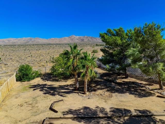8799 Palomar Avenue, Yucca Valley CA: https://media.crmls.org/mediaz/7546c961-c7cc-40b6-b697-6dc68f06b001.jpg