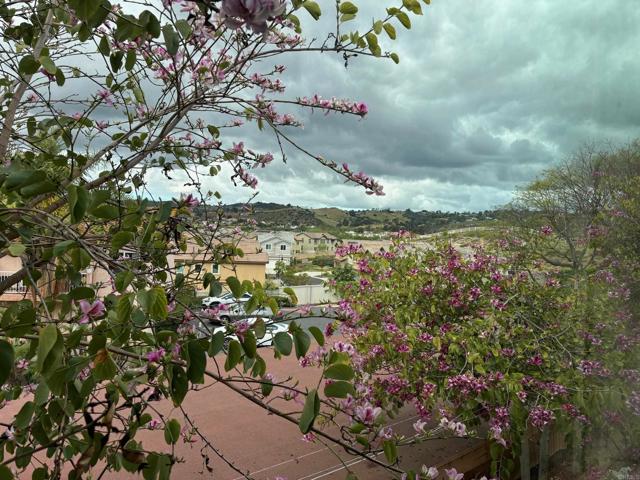 Home for Sale in Bonsall
