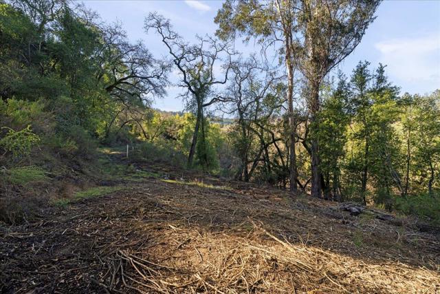 0 Old Santa Cruz Highway, Los Gatos CA: https://media.crmls.org/mediaz/754c7e08-bd0f-4547-92b8-954794e9eb5d.jpg