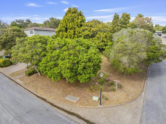 9355 Canyon Oak Road, Salinas CA: https://media.crmls.org/mediaz/754d5703-a7e7-4de6-862d-81c00a1d8b0a.jpg
